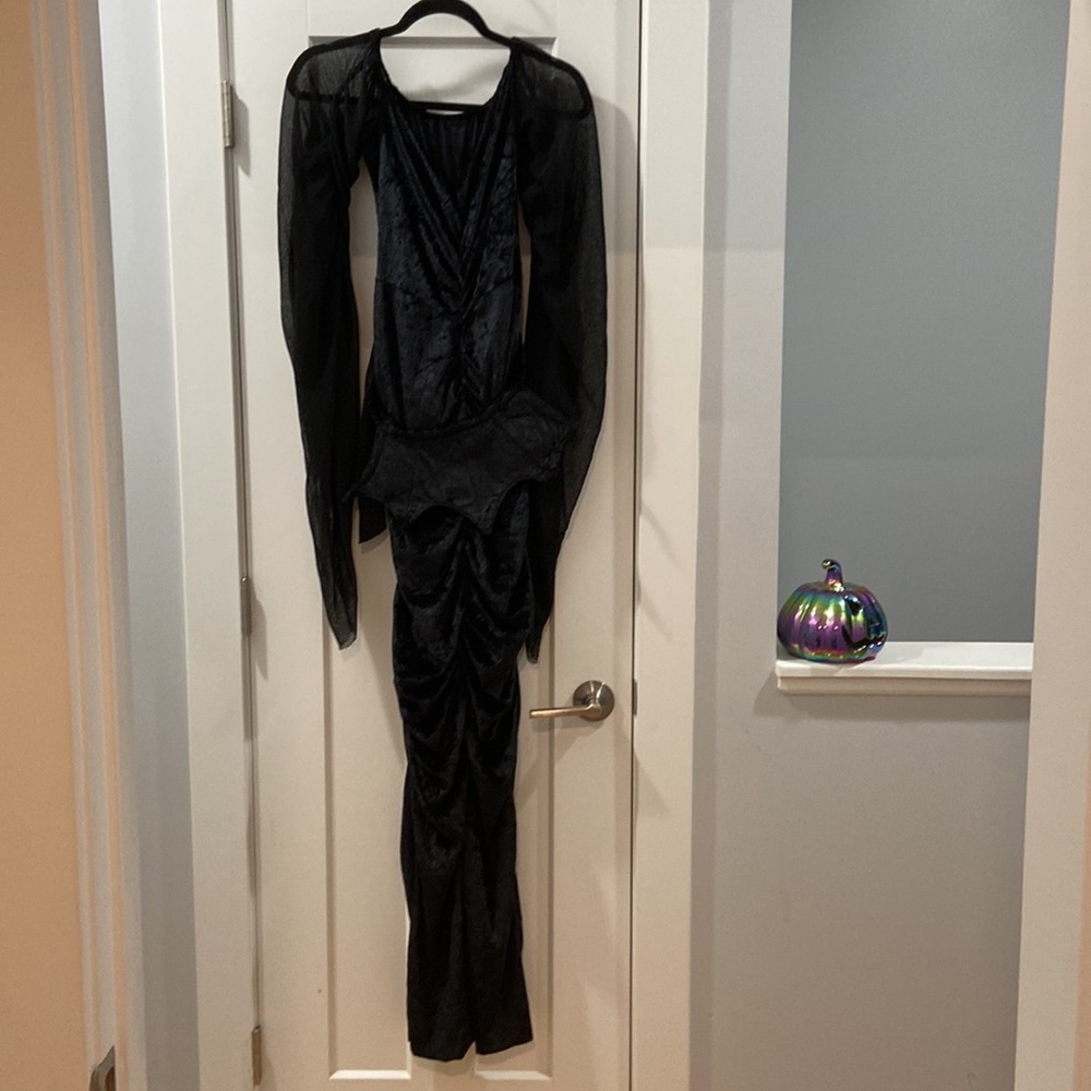 Elvira Black dress one size fits all Halloween costume forum costume worn once